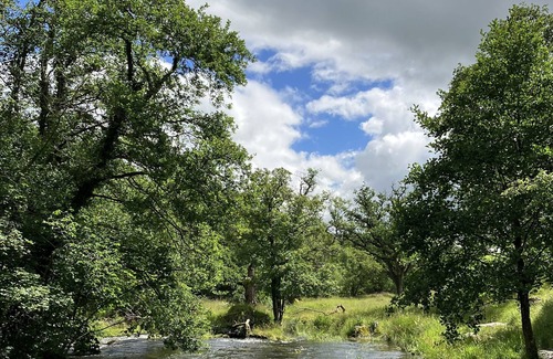 Staveley Cottage | Riverside Cottage with bike storage - just 10 mins from Windermere