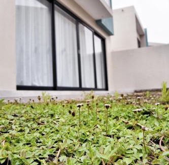 Swakopmund House | Riverview 2 #1 Self-catering accommodation