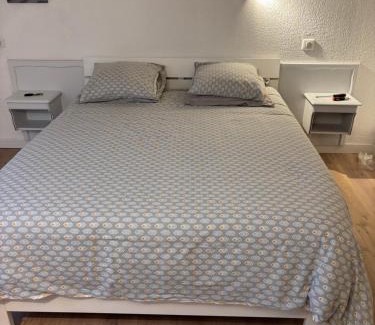 Aix-les-Bains City Center Apartment | Riviera