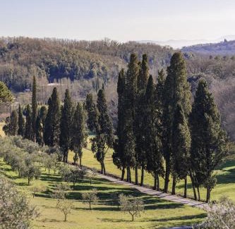 Pistoia Bed & Breakfast | Rivo della Corte