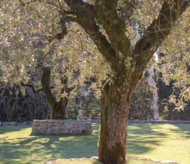 Pistoia Bed & Breakfast | Rivo della Corte