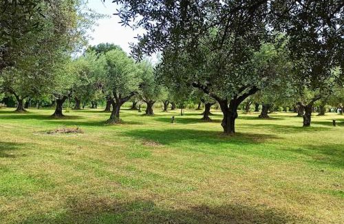 Gefira Mpania House | Rizaki Cottage in Nafpaktos