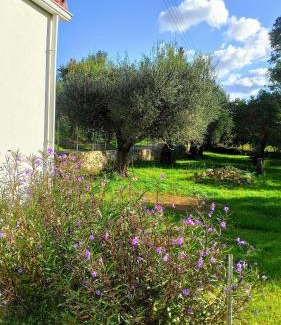 Gefira Mpania House | Rizaki Cottage in Nafpaktos