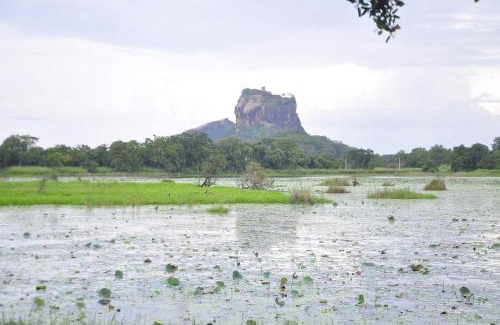 Sigiriya House | Rock Lake Home Stay