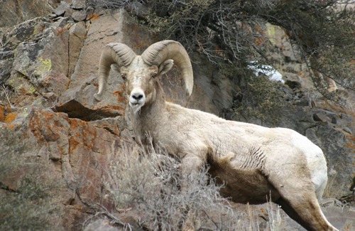 Custer County House | Rocky Mountain RV Camp