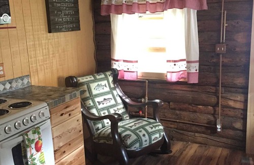 Lake City Cabin | Rocky Rose - One Block from Town!