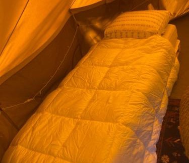 Den Hoorn Other | Rode Bell Achter Duin