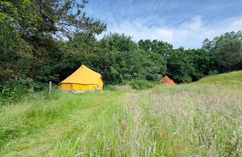 Den Hoorn Other | Rode Bell Achter Duin