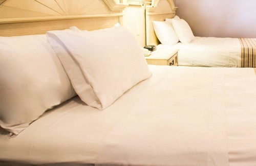 Apopka Hotel | Rodeway Inn Apopka South