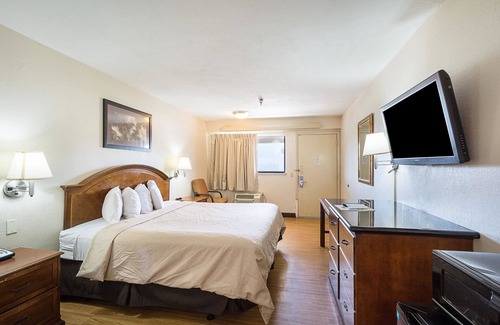 Bearss Plaza Hotel | Rodeway Inn Tampa near Busch Gardens - USF