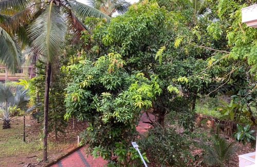 Kozhikode Villa | "Rohini Villa" 5 Bedroom Luxury Garden Villa in Kozhikode