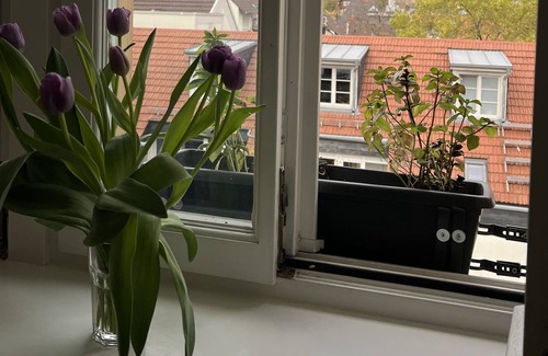 Heidelberg City Centre House | Romantic city apartment in the heart of Heidelberg
