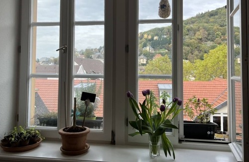 Heidelberg City Centre House | Romantic city apartment in the heart of Heidelberg
