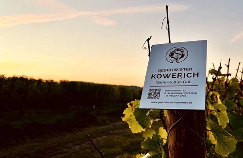Kowerich Apartment | Romantic hideaway with a view of the vineyards