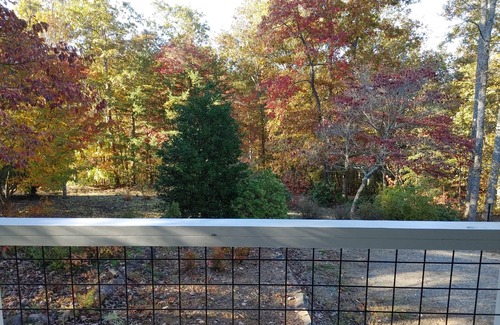 Blairsville Cottage | Romantic mountain cottage getaway