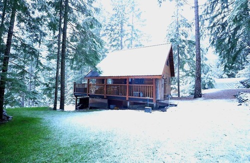 D'Arcy Cabin | Romantic Off-Grid Cabin Stargaze & Unwind