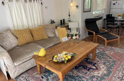 Fern Valley Cabin | Romantic One Bedroom Cabin With Hot Tub and Large Patio