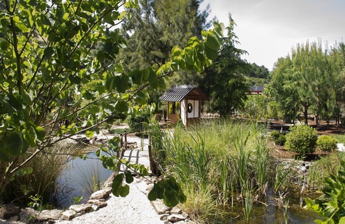Caldas da Rainha Cabin | Romantic safaritent overlooking zen garden.