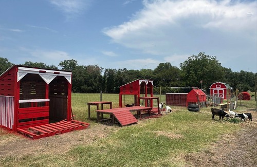 Flatonia Cabin | Romantic Tiny House in Flatonia - Musk's House