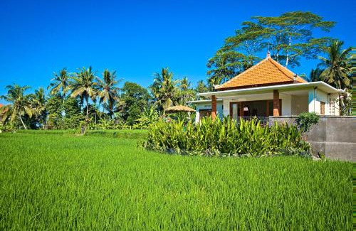 Melayang Villa | Romantic Villa in Ubud Private Pooll and Rice Fields View