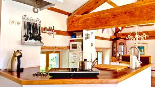 Le Monestier House | Romantic Village School with Sunny Garden