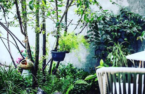 Noordwijk Bed & Breakfast | Romantic Wellness BnB Noordwijk