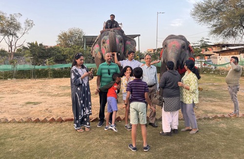 Pink City House | Room 3 - You can spend time with elephants by going close them