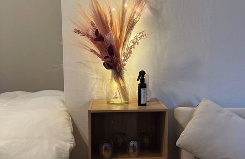 Chuo-ku Apartment | Room 302, Chateau Minami 6-jo Building, 3 people OK! Comfortable studio with 3 beds
