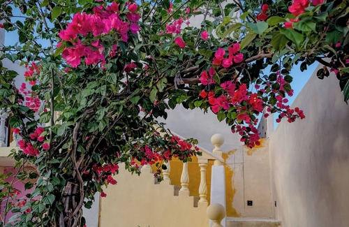 Luis Donaldo Colosio House | Room for 3 people, 3 blocks from 5th avenue and public beach 🏖️🏝️