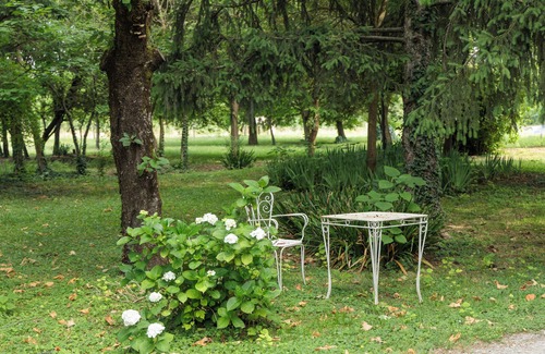 Roncopascolo Villa | Room in the library of the 19th century villa VILLA SPERANZA