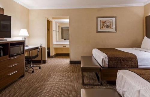 Hollywood Hotel | Room Near Iconic Hollywood Attractions Like Runyon Canyon & More