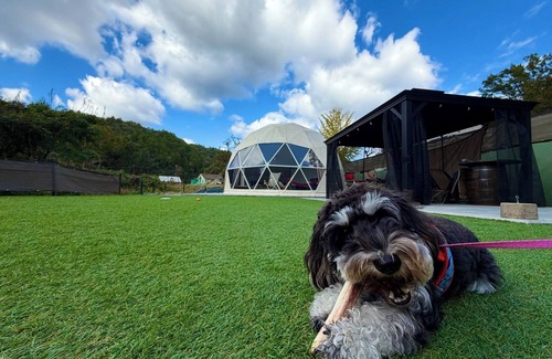 Sanda RV Rental | Room only Small dogs allowed Bonus included /Sanda City Hyōgo