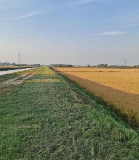 Novara House | Room Sweet Room