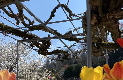 Aspin-en-Lavedan Bed & Breakfast | Room the Suite 6 people