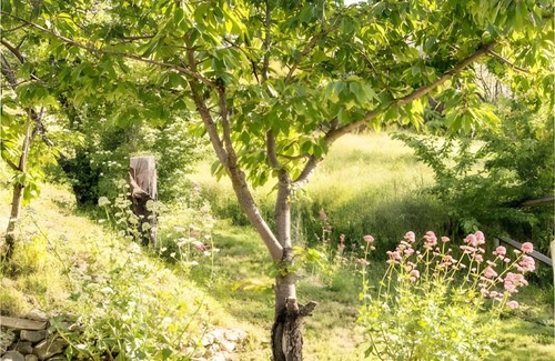 Montbrun-les-Bains Apartment | Room 'Tournesol' with Mountain View, Shared Terrace and Wi-Fi