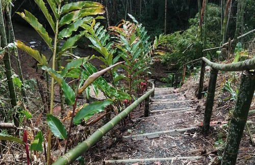 Pereira House | Room with 2 double beds Number 2