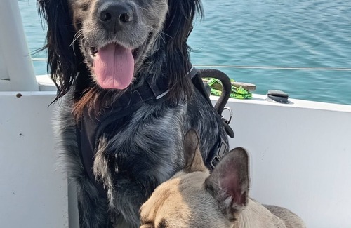 Couterne Bed & Breakfast | Rooms with complimentary breakfast