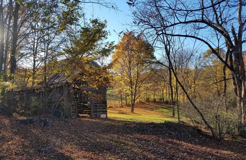 Tannersville House | Roomy Relaxing House, Large Yard Stores Restaurants Trails Lake River PavedDrive