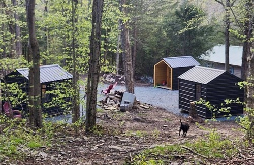 Roscoe Cabin | Roscoe Coop Clucking Crazy Hut