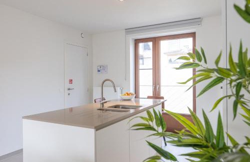 Vogelzang Apartment | Rose D'ivry-3 bedroom appartement w free parking garage - large terrace - quiet area & walking distance from the sea!