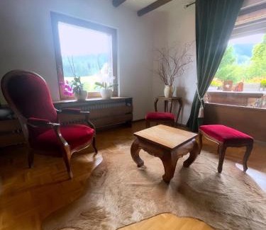Altglashutten Apartment | Rose und Belle Apartment mit HS-Card - Greschuk Apartments