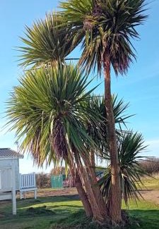 Barmston Resort | Roseanna Retreat barmston beach parkdean holiday park