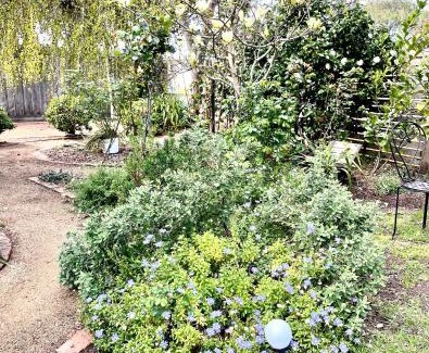 Rosebud House | Rosehaven on Rosebud
