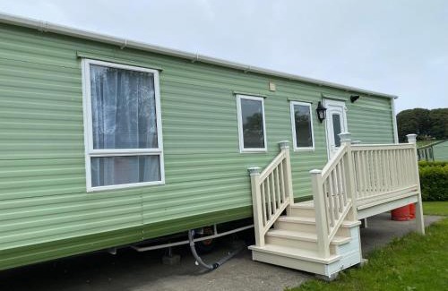 Newton Stewart Other | Rosie