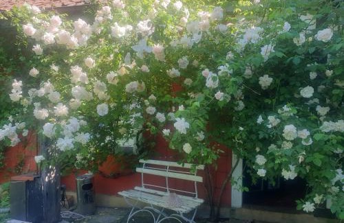 Halle Bed & Breakfast | Rosindell cottage