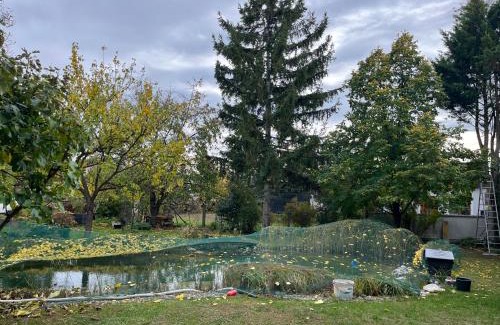 Wiener Neustadt Apartment | Rosis Appartement