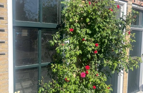 Balk Cottage | Rosy's Cottage.