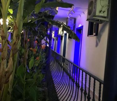 Dalyan City Center Hotel | Rota Hotel