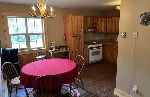 Lake City Cabin | Rough Hollow - Beautiful Cabin Just off CR30 on the Alpine Loop
