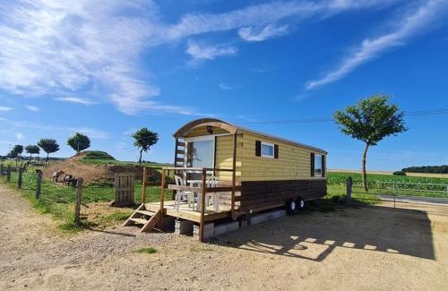 Burthecourt-aux-Chenes Other | Roulotte tout confort au milieu des animaux